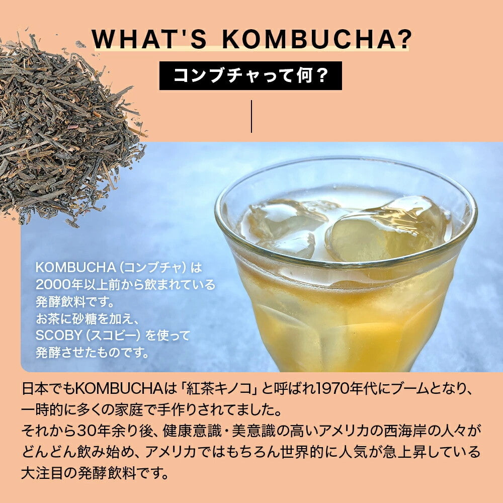 スターコンブチャ ピーチ(発酵飲料) 250ml