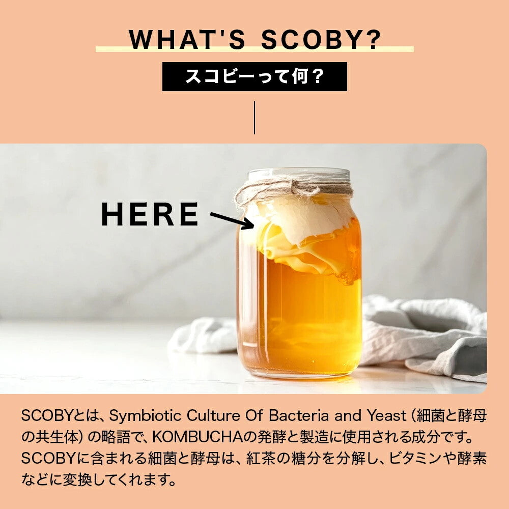 スターコンブチャ ピーチ(発酵飲料) 250ml