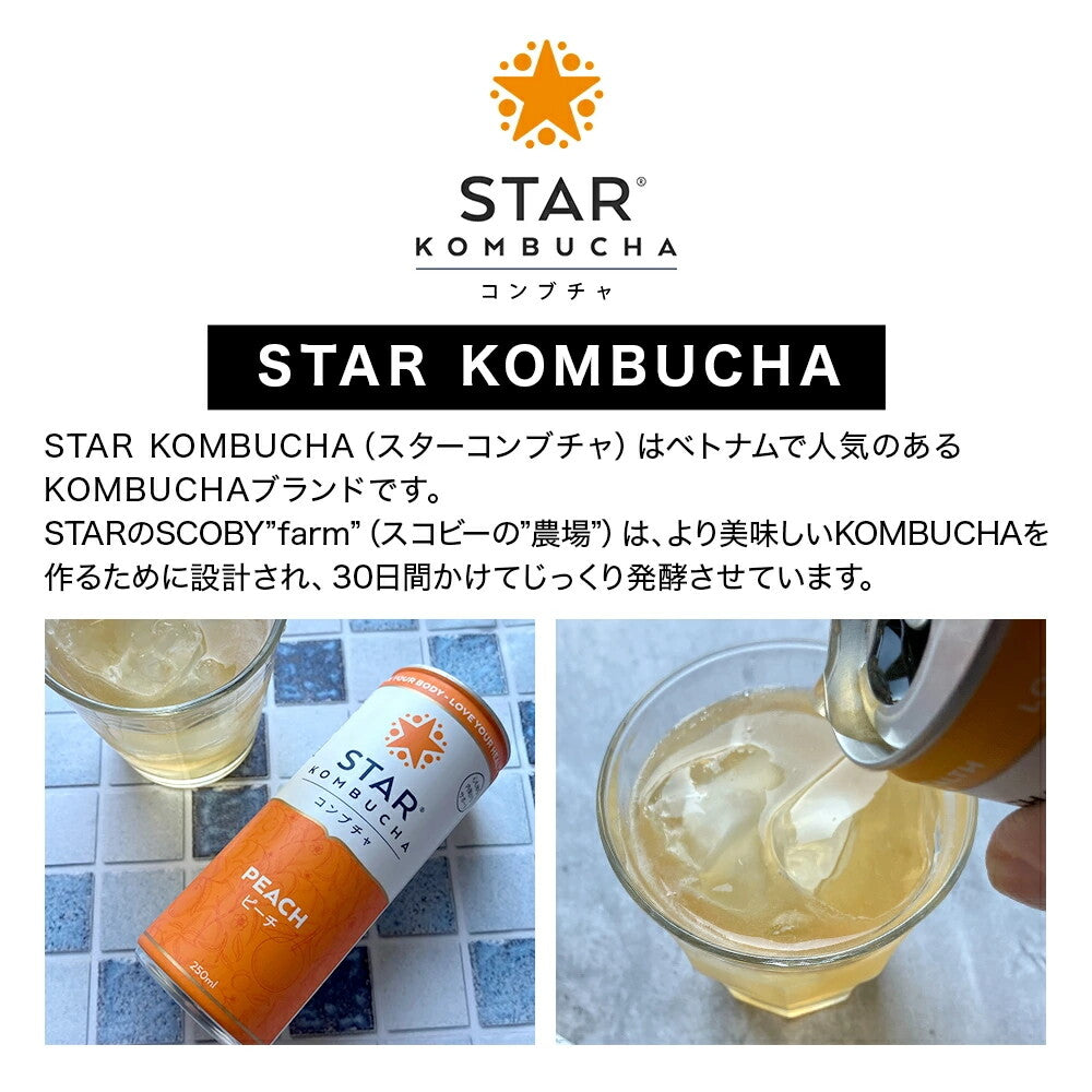 スターコンブチャ ピーチ(発酵飲料) 250ml