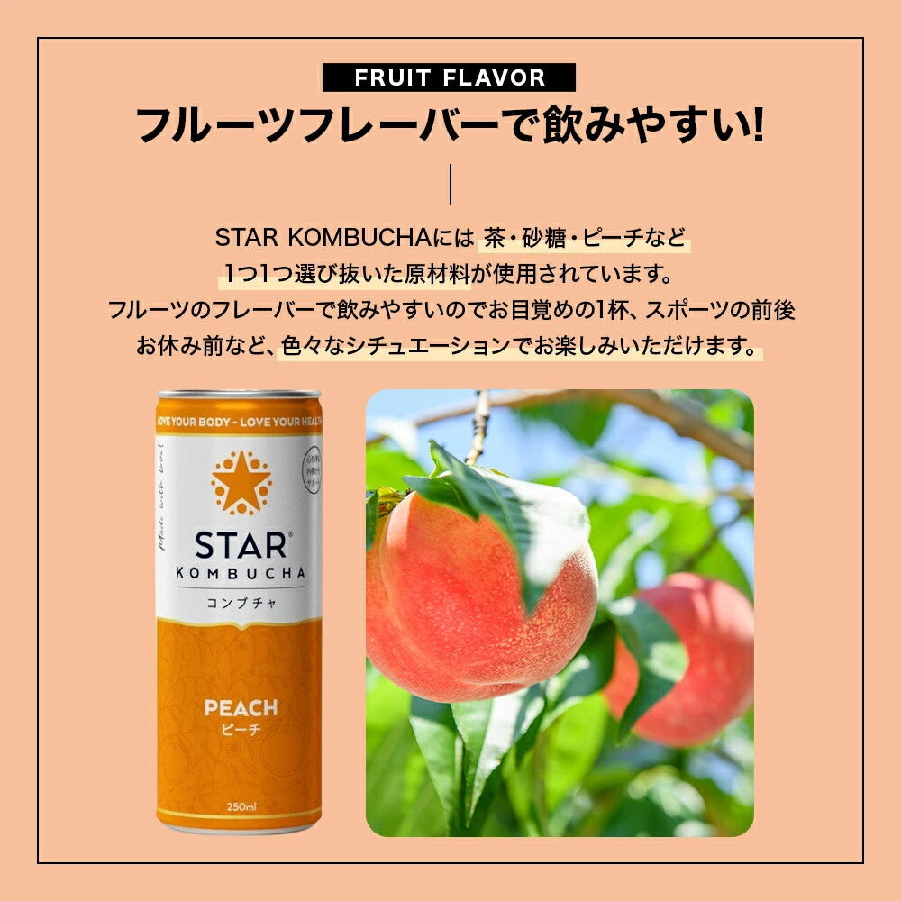 スターコンブチャ ピーチ(発酵飲料) 250ml