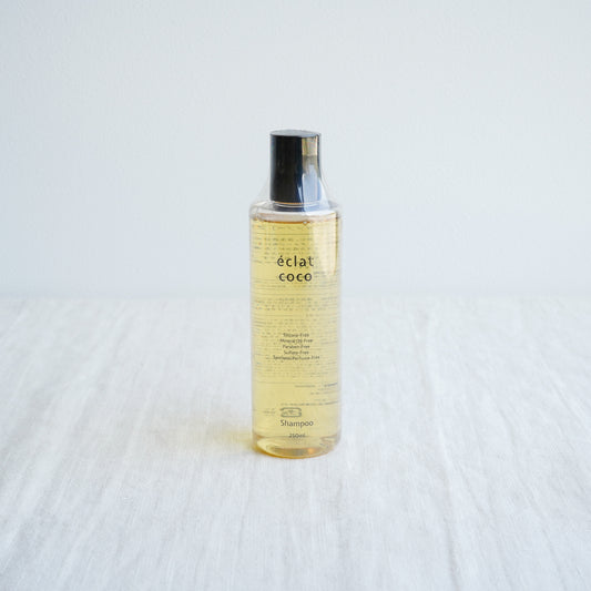 エクラ・ココ シャンプー 250ml《ノンシリコン》