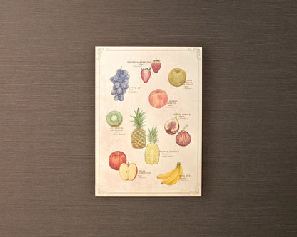 ポストカード(図鑑風)