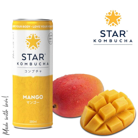 スターコンブチャ マンゴー(発酵飲料) 250ml