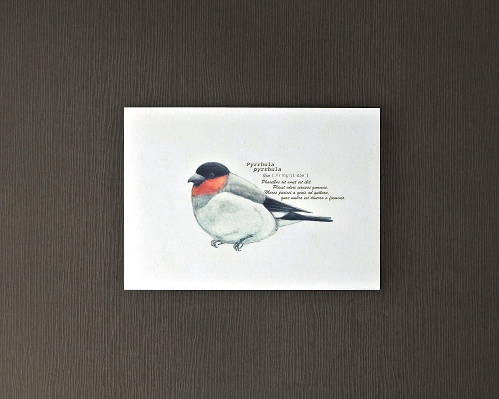 ポストカード(野鳥)