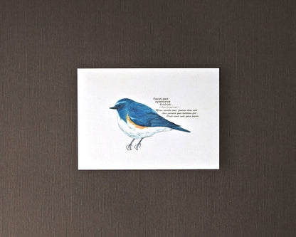 ポストカード(野鳥)