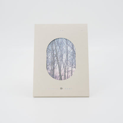 haruka nakamura / 青い森 II [CD]